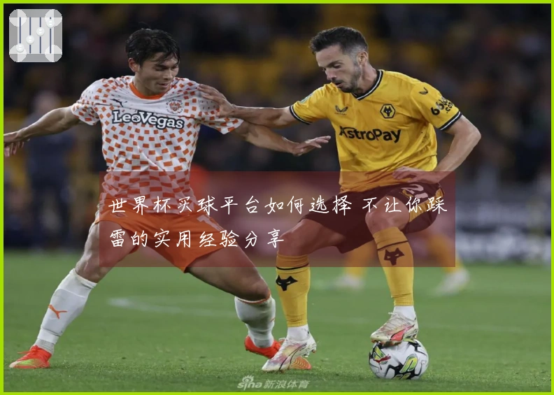 世界杯买球平台如何选择 不让你踩雷的实用经验分享