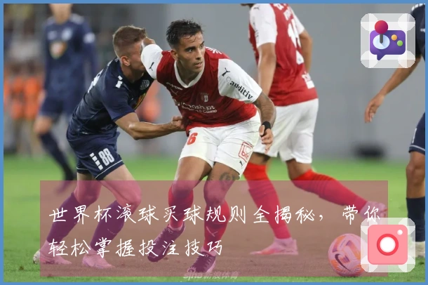 世界杯滚球买球规则全揭秘，带你轻松掌握投注技巧