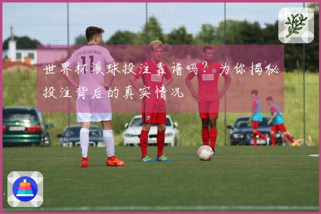 世界杯滚球投注靠谱吗？为你揭秘投注背后的真实情况
